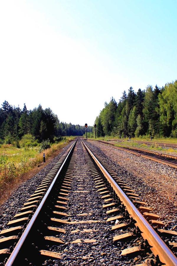Улаан шүхэр